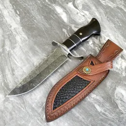 Offerta speciale A2028 Coltello dritto in Damasco di fascia alta 9Cr18Mov Lama a punta dritta Coltelli a lama fissa con manico in ebano con fodero in pelle