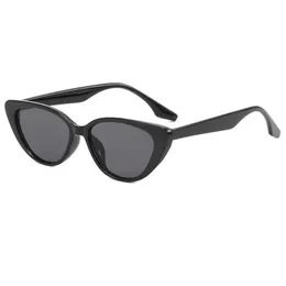 Schicke Sonnenbrillen für Damen. Chic Eye Wear-Sonnenbrillen. Wird in Kartonverpackungen verkauft