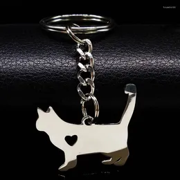 سلاسل المفاتيح 2024 Fashion Cute Cat Keychain Silver Color Stainless Steel for Women Gato Porte CLE K900S01