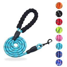 Hundehalsbänder 120/150/200/300 cm Starke Leine Leuchtendes Hundehalsband Nylongeschirr Haustier Outdoor Walking Lead Zubehör