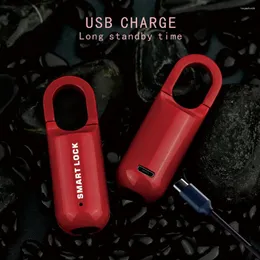 Smart Lock Anti Roubo M01 Cadeado de impressão digital Touch Door Keyless USB Charge Security Locker Home Bike