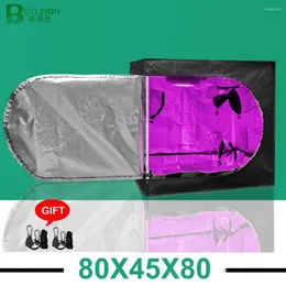 Grow Lights BEYLSION 80x45x80CM Indoor Tent Hydroponic Growing Green Room Box Reflective Mylar For Plant Growth