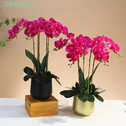 Dekoratif Çiçekler Mor Phalaenopsis Orchid 3D Gerçek Touch Butterfly Çiçek Yapay Düğün Çiçek Ev Dekorasyon Partisi - Indigo