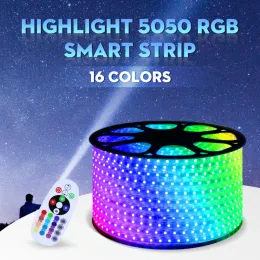 220V 12V 장식 LED SMD 5050 RGB 원격 제어 방수 LED 스트립 조명/LED 조명 스트립/스마트 스트립 라이트