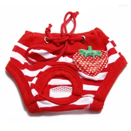 Abbigliamento per cani 1PC Pantaloni fisiologici sanitari Frutta carina Stampa Pantaloncini per animali domestici Pannolini Biancheria intima Mutandine femminili Slip 2024