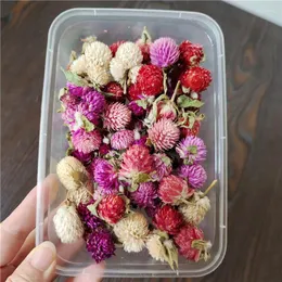 Decorative Flowers Dried Wedding Party Festival Decoration Epoxy Resin Real Dry Plant Making Po Frame Souvenirs Craft DIY Accessories