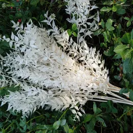 Fiori decorativi Natura essiccata conservata Ricca foglia di Ruscus Decorazione floreale per festa di nozze Pianta a foglia tagliente vera Decorazione per soggiorno Boho