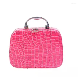 Cosmetic Bags Family Outdoor Business Trip Stone Makeup Bag With Mirror Women's Tote Square Zipper Waterproof And Dustproof Storage Box