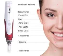 Taibo Microneedling Needle/RF Microneedle 기계/DR PEN Hydra 뷰티 머신