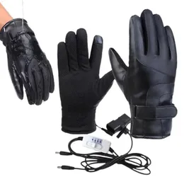 USB-Ladehandschuhe, 2 Stück, Winter-Beheizte Handschuhe für Motorrad-Hände, Plug-and-Play-Frauen, beheizte Ski-Handschuhe, Outdoor-Sport-Hand 240124