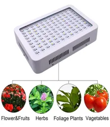 Full Spectrum 1000W 1200W 1500W 1800W 2000W Double Chip LED Grow Lights Red Blue UV IR för inomhusväxt och blommor hög kvalitet6588592