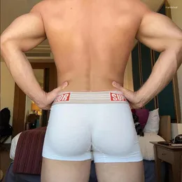 Underpants fshion Sports Man 's Panties Design 남자 속옷 섹시한 통기성 및 편안한 면화 시시 로파 인테리어 Hombre
