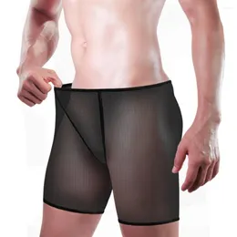 Cuecas sexy homens malha translúcida boxer shorts u convexo bolsa lingerie briefs ultra fino biquíni macio roupa interior respirável calcinha