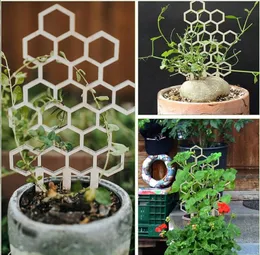 Andere Gartenbedarfsartikel Fracht Yegbong Oem ODM Pflanzenständer Klettern Rattan Blumen Gartenarbeit Unterstützung Outdoor Topfanordnung Home Gar Dhtnl