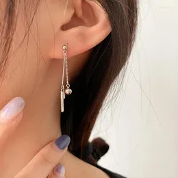 Dangle Earrings Personality Drop Women Long Tassel Earring Girls Party Fashion Ear Jewelry 2024年の贈り物