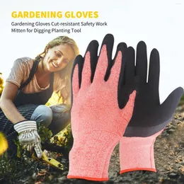 Одноразовые перчатки одна пара сад копает латексный садовый когти для плана почвы. Смешание посадки цветок