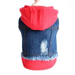 Köpek Giyim Pet Giyim Teddy Bahar/Yaz Kıyışı Püskürtmeli Denim Vest 2024 Koleksiyon