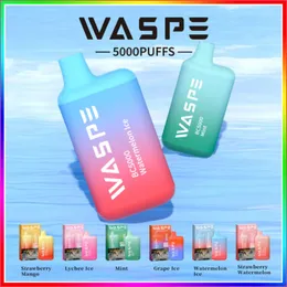 Waspe 5000 Züge Widerstand 0,8 Ohm Maschenspule Flüssigkeit 13 ml Maschenspule Kapazität 650 mAh Typ C Ladegerät Bang 15000 Bang Box Crazvapes