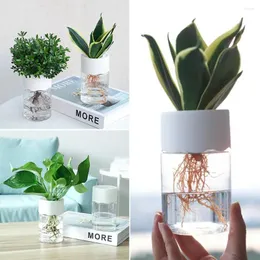 Vasos 2 pcs vaso de plástico hidropônico vaso de plantio de água simples forma redonda transparente recipiente elegante plantador aquapônico