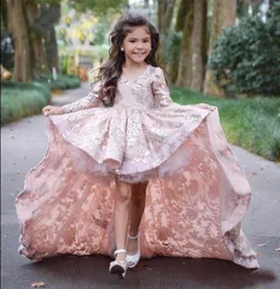 Румяно-розовое, шампанское, высокие и низкие пышные платья для девочек, красивая одежда, новейшее кружевное платье 2018 года, с длинными рукавами7127031