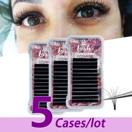 5pcs/lot MASSCAKU Custom Private Label Premium Mink Eyelash Extensions Individual Volume with Silk Mink Korea PBT material 240119