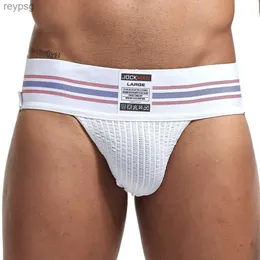 Briefs Panties Seksi Erkekler Jockstrap Pamuklu iç çamaşırı gökkuşağı erkek g tring slip homme eşcinsel külot tangs dize poşeti örgü yq240215