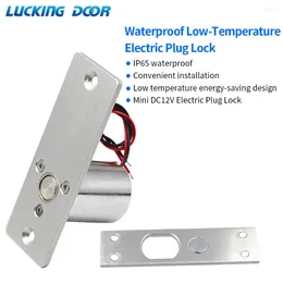 Smart Lock DC12V Elektrischer Riegel NC Ausfallsicher Edelstahl Wasserdicht Outdoor Einbetten Installieren Magnetischen Induktion Elektronischen Zylinder