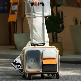 Cat Dog Carrier with Mut Universal Wheels Trolley Pet Backpack Barge Space Protable Protable Outdible Pets Cats و 240131