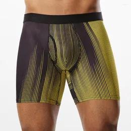 UNDUPTS 2024 Stil Kutu Men Panties Boxer Uzun iç çamaşırı İnsan Şortları ve Mesh Homme Lüks Boxerhomme Spor Salonu Gay