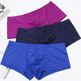 Underpants 3 조각 남자 복서 반바지 섹시한 큰 버플 파우치 속옷 슬립 Homme 줄무늬 팬티 calzoncillos boxershorts plus size