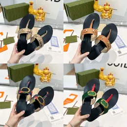 Web thong tofflor strand inomhus platt flip flops svarta läder män kvinnor dubbla glider sommargrön röd nylon designer sandal damer