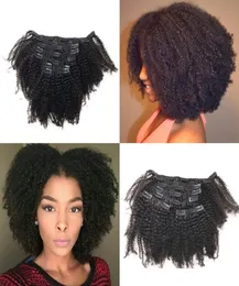 Afroamerikanische Afro Kinky Curly Clip-In-Echthaarverlängerungen, 7 Stück, malaysische Clip-Ins FDSHINE3723588