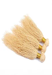 Kinky kıvırcık Malezya sarışın insan saç uzantıları çifte atkılar saf 613 çamaşır suyu sarışın insan saç örgüsü 3bundles çok afro curly 9290207