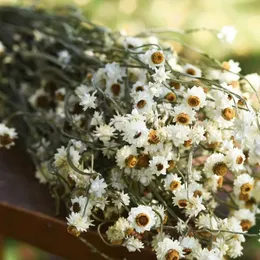 Flores decorativas 70/80/90 / 100pcs preservadas secas para decoração de festa de escritório em casa de fazenda faça você mesmo