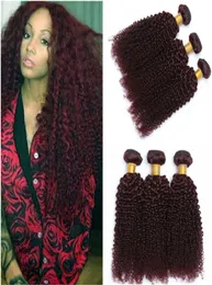99J Wino Red Human Hair Bundles oferuje perwersyjne kręcone 3PCS Burgundowe czerwone dziewicze peruwiańskie kręcone ludzkie włosy Wevess 100GBundl9110551