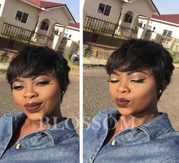 2018 New Lace Front Full Lace Wigs Black Women Lace Pixie Short Cut Human Hair Brazilian Hair Wigs Cheap Human Hair Wigs9810090