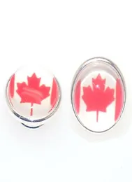 Flag Resin Cabochon Kameleon Jewelpops Jewelpops Fits DIY Insert Charm Bracelets Necklace Ring 925 Silver Plated Jewelpops39218242699562