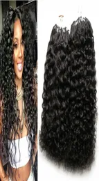 Micro Loops Natural Color afro kinky curly micro loop human hair extensions 200g brazilian micro ring loop hair extensions 200s7913501