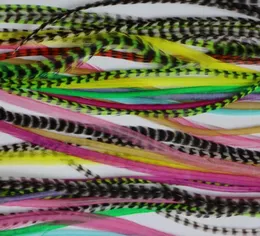 10pcs colorful feather hair extension 714inch 100 Real Grizzly Thin Rooster Feather hair extensions For Party feather hair suppl2285521