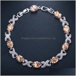 Bangle Raimabom 925 Solid Sterling Sier stworzył Moissanite Morganite Morganite Ruby Cree Carm Bracelets Fine Jewelry Hurtowa Drop Gelive Dhklg