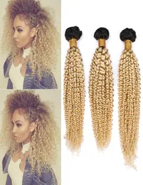 Blonde Ombre Brazilian Human Hair Weave Bundles 3Pcs Lot Kinky Curly 1B613 Blonde Ombre Virgin Human Hair Wefts 1030quot Mixe7257546