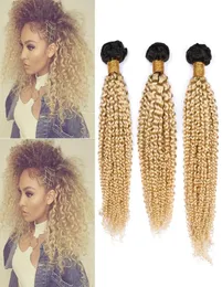 Блондинка Ombre Бразильские пучки человеческих волос 3 шт. Лот Kinky Curly 1B613 Blonde Ombre Virgin Human Hair Wefts 1030quot Mixe7257546