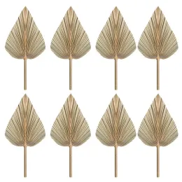 Decorative Flowers Wreaths 8Pcs Dried Palm Leaves Fans Bohemian Spears Artificial Plants Tropical LeavesDecorative ZZ