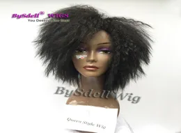 Afroamerikanerin, schwarze Frau, kurze Afro-Perücken, krauses, verworrenes glattes Haar, synthetische hitzebeständige schwarze, rotbraune Haarfarbe, Natur9090604