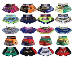 Kick boxe luta luta troncos crianças mulheres homens mma muay thai shorts meninos meninas bjj sanda treinamento combate uniforme boxer calças x01097564