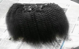 브라질 인간 버진 레미 레미 키키 스테이 (Kinky Staight Hair Hawt Clip in Extensions 9 조각 한 세트 천연 블랙 8280082
