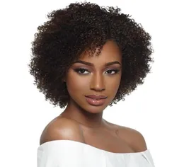 Nova alta qualidade women039s cabelo brasileiro afro-americano kinky encaracolado peruca simulação cabelo humano afro curto encaracolado peruca para senhora 8618941759
