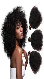 Erstklassige schwarze Frauen lieben rohes indisches Remy-Haar, ganze Afro-Kinky-Curly-Bündel, unverarbeitete natürliche Farbe79121875434050