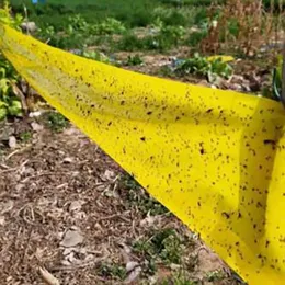 Stickigt insektsbälte, växthusvattentätt insektsfällbälte, gult trädinsektsförebyggande tejp