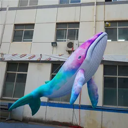 Narvalo gonfiabile della balena del palloncino gonfiabile della galassia da 8 ml (26 piedi) all'ingrosso con ventilatore e striscia LED e video per la decorazione del soffitto del nightclub